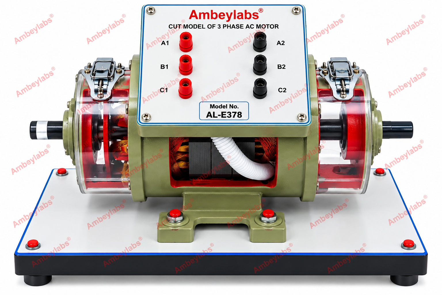 AL-E378 THREE PHASE SQUIRREL CAGE INDUCTION MOTOR  (CUT SECTION MOTOR)